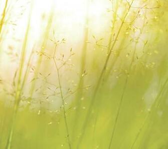 Lg G3 Wallpaper