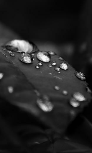Blackberry Z30 Wallpaper Themes