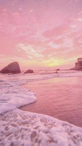 Rose Gold Nature Shared By On We Heart It