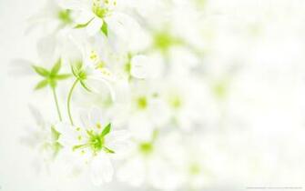 Flowers Background Wallpaper