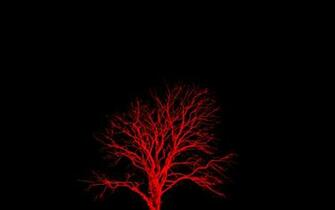 Wallpaper Red Tree And Black