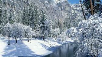 Snowy Mountains With Trees HD Wallpaper Background Image