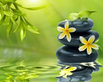 Zen Relaxation Background Peaceful