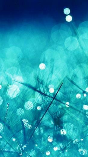 Rain Grass Bokeh Water iPhone 5s Wallpaper