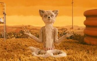 Fantastic Mr Fox Kristofferson Yoga Wallpaper