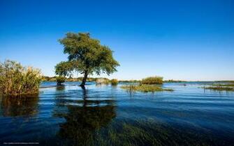 Wallpaper Lake Sky Summer Landscape Desktop