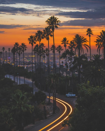 Elysian Park Los Angeles Wallpaper