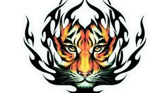 Tiger Tattoo Tribal Choice Wallpaper