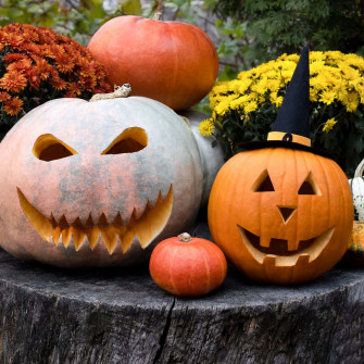 Wizard And White Pumpkin Carving Picture Wallpaper