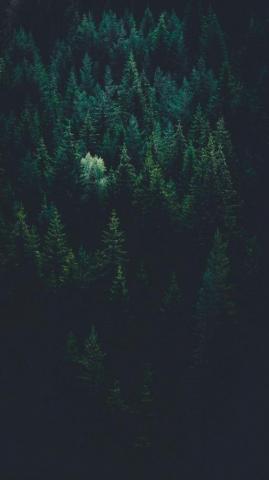 Best Dark Or Black iPhone Wallpaper Night Background