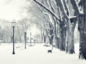 Snowy Park Winter Snow Scenes Wallpaper