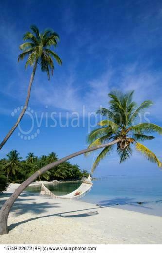 Photo Galleries The World S Best Image 2main