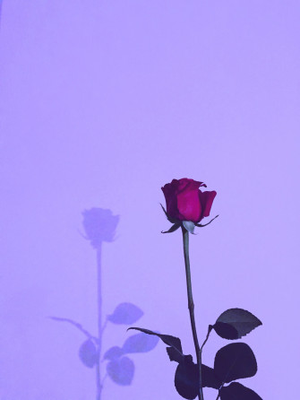 Aesthetic Wallpaper Violet Full HD