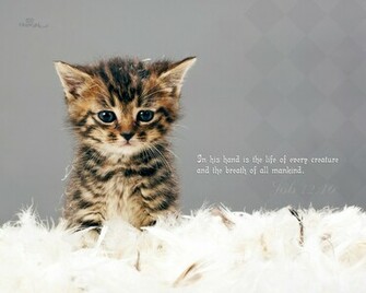 Labels Bible Verse Wallpaper Desktop