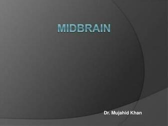 Dr Mujahid Khan L Presentation Wallpaper Background