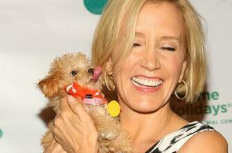 Felicity Huffman Wallpaper HD Dowload For Destop