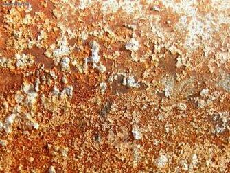 Development Rust Picture Nr