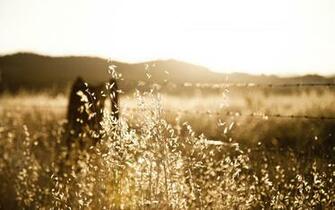 Landscapes Sunset Sunrise Sunlight Fence Rustic Wallpaper Background