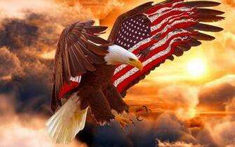 Bald Eagle Wallpaper X Net
