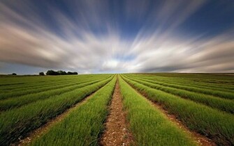 Nature Wallpaper HD Mac