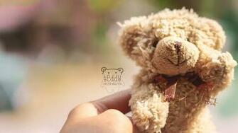 Teddy Bear UHD Desktop Wallpaper New HD