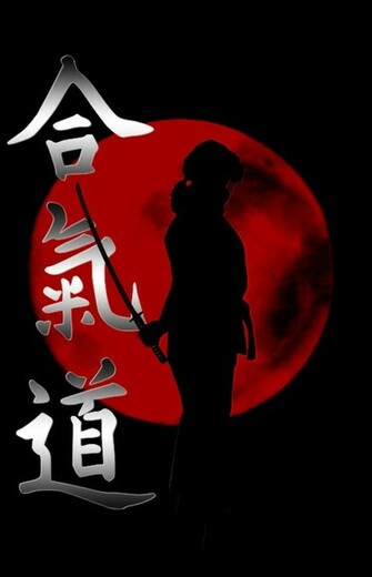 Aikido By Stecmir