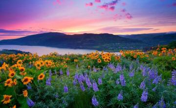 Nature Background Amazing Landscape Wallpaper Of