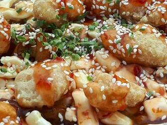 Poutine Tao French Canadian Meal By Renhob27