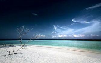 HD Wallpaper High Definition Quality Desktop