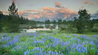Summer Scenery Wallpaper World