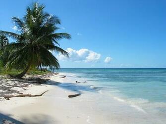 Caribbean Wallpaper