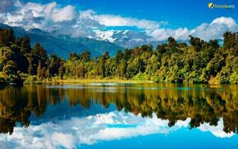 New Zealand Wellington Wallpaper