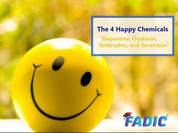 The Happy Chemicals In Our Brain Become