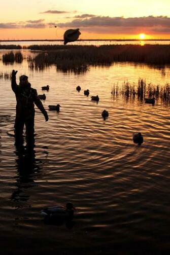 Related Pictures Duck Hunting Wallpaper In North Dakota