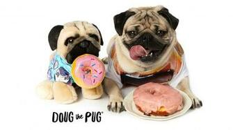 Doug The Pug Claire S