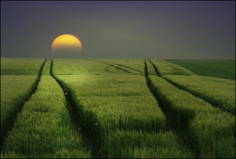 Beautiful Cool Wallpaper