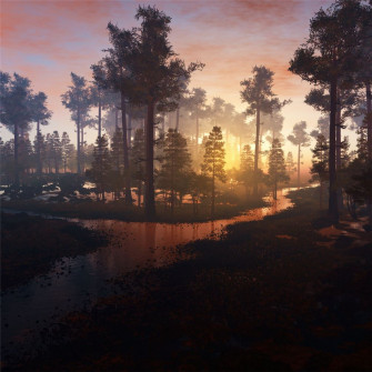 Beautiful Morning In Forest 4k iPad Wallpaper