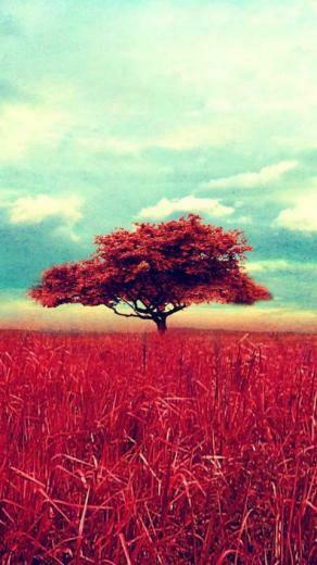 Vintage Scene HD Wallpaper