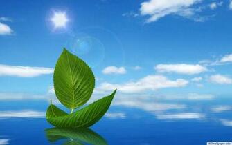 Nice Pictures For Desktop HD Wallpaper