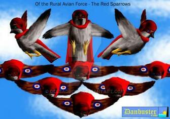 The Red Sparrows By Dcleadboot