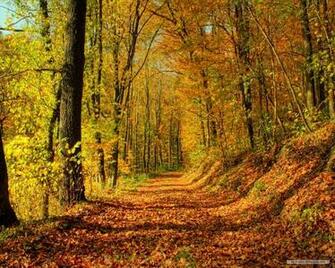 Nature Wallpaper HD Landscape