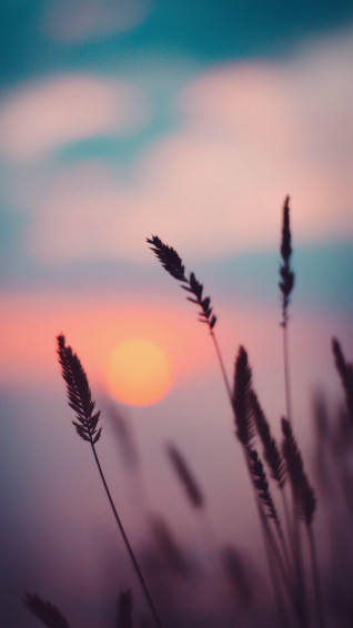 Sunset Wallpaper For Any iPhone R iPhonewallpaper
