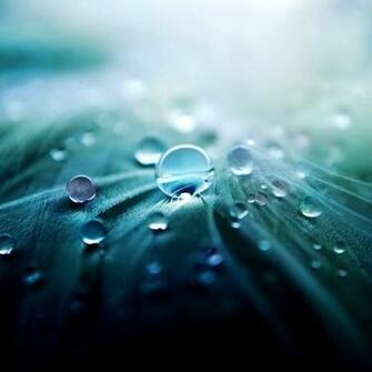 Themes Ringtones Wallpaper Apps