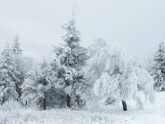 Winter Desktop Wallpaper Resolutions In HD