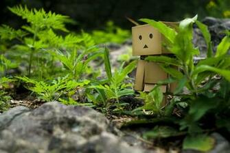Cute Boxman HD Wallpaper