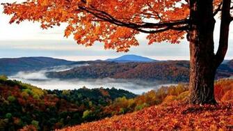 Autumn Wallpaper