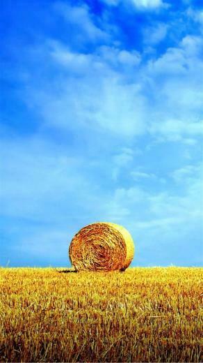 X Wallpaper Phone Z Full HD