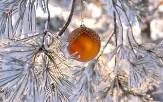 Wallpaper Christmas Holidays Originals Pictures