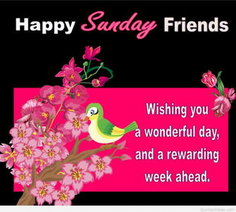 Happy Friday Saturday Sunday Quotes Sayings Pics