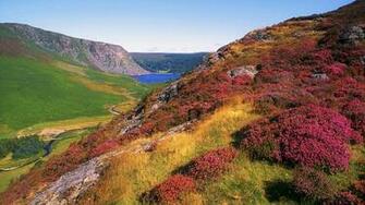 The Village Northern Ireland Wallpaper And Image